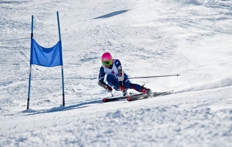 世界杯投注建议-塞尔维亚变阵起舞，国家队赛事重燃球迷心弦